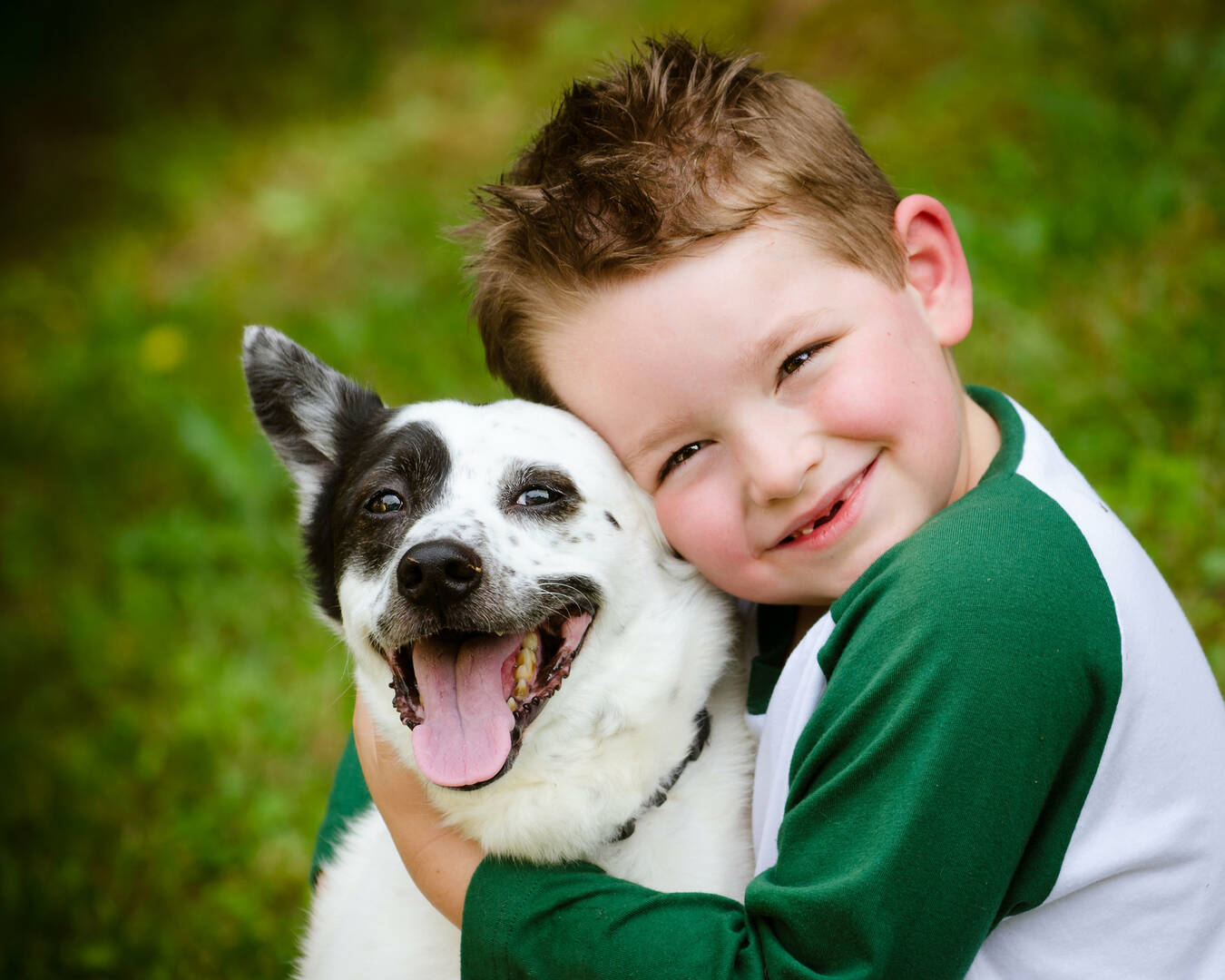 Murrells Inlet Veterinary Hospital