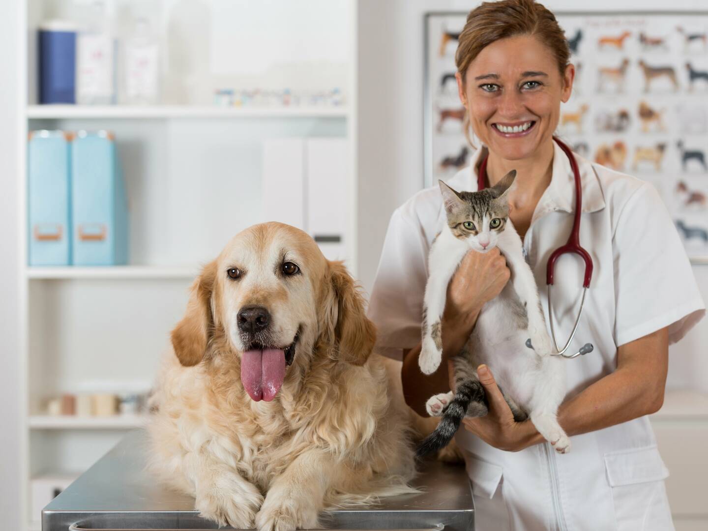 Ashland Terrace Animal Hospital